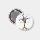 Pyramidenneuron im Neocortex Magnet (Vorderseite/Rückseite)