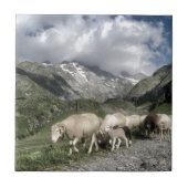 Pyrenäenlandschaft Fliese (Vorderseite)