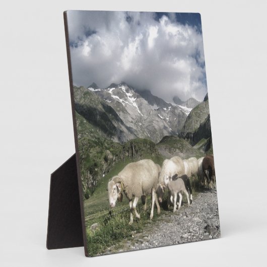 Pyrenäenlandschaft Fotoplatte (Seite)