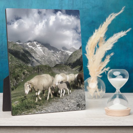 Pyrenäenlandschaft Fotoplatte (Seite)