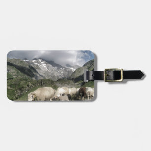 Pyrenäenlandschaft Gepäckanhänger