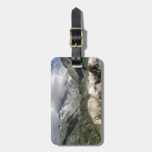 Pyrenäenlandschaft Gepäckanhänger (Vorderseite vertikal)