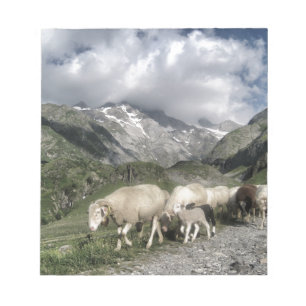 Pyrenäenlandschaft Notizblock