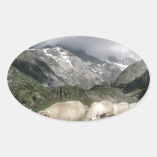 Pyrenäenlandschaft Ovaler Aufkleber