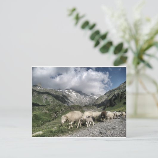 Pyrenäenlandschaft Postkarte (Stehend Vorderseite)