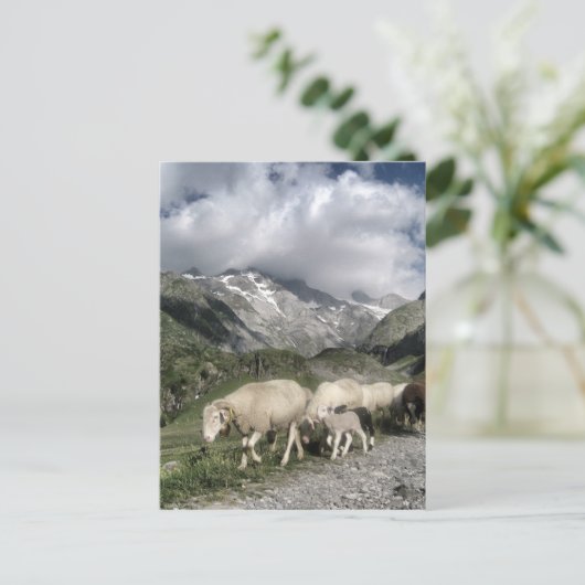 Pyrenäenlandschaft Postkarte (Stehend Vorderseite)