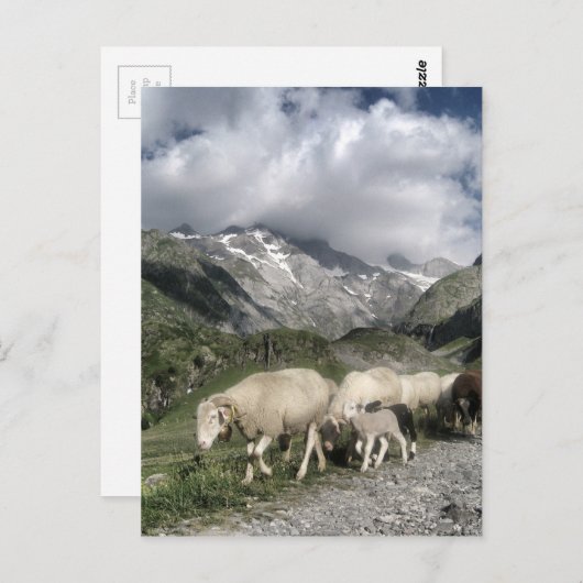 Pyrenäenlandschaft Postkarte (Vorne/Hinten)