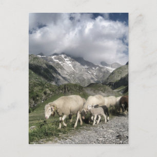 Pyrenäenlandschaft Postkarte