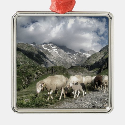 Pyrenäenlandschaft Silbernes Ornament (Vorne)