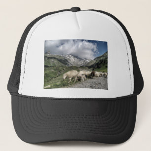 Pyrenäenlandschaft Truckerkappe