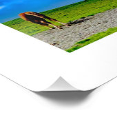 Pyrenäenpferde. Fotodruck (Ecke)
