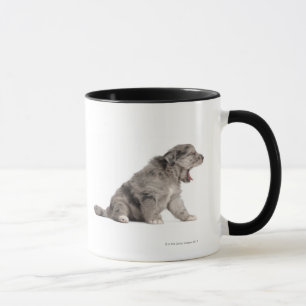 Pyrenean Gähnen des Schäferwelpen (4 Wochen) Tasse