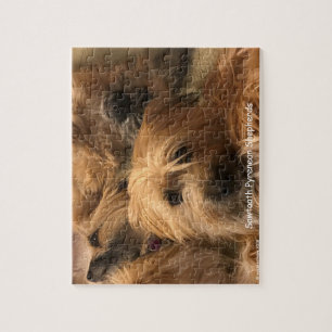 Pyrenean Schäfer-Puzzle Puzzle