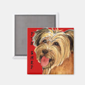 Pyrenean Shepherd Color Block Magnet (Vorderseite/Rückseite)
