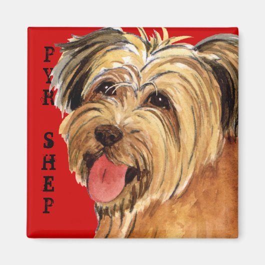 Pyrenean Shepherd Color Block Magnet (Vorne)