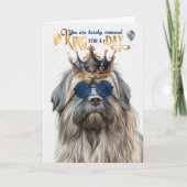 Pyrenean Shepherd King for Day Funny Birthday Karte (Vorderseite)