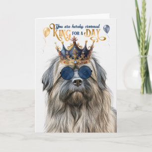 Pyrenean Shepherd King for Day Funny Birthday Karte