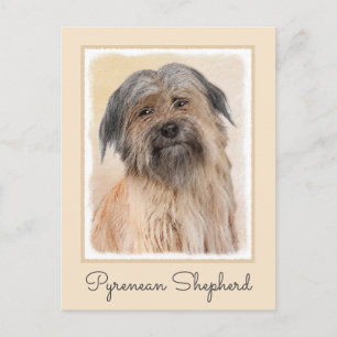 Pyrenean Shepherd Malerei - Niedliche Original Dog Postkarte