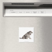 Pyrenean Shepherd Welpe (4 Wochen) gähnend Magnet (In Situ (Geschirrspüler))