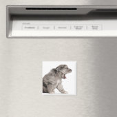 Pyrenean Shepherd Welpe (4 Wochen) gähnend Magnet (In Situ (Geschirrspüler))