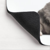 Pyrenean Shepherd Welpe (4 Wochen) gähnend Mousepad (Ecke)