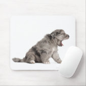 Pyrenean Shepherd Welpe (4 Wochen) gähnend Mousepad (Mit Mouse)