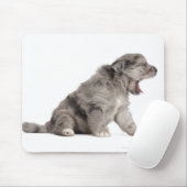 Pyrenean Shepherd Welpe (4 Wochen) gähnend Mousepad (Mit Mouse)