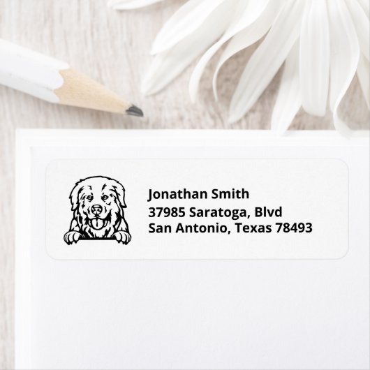 PYRENEES BERGHUND | Bild auf Rücksendeadresse (Insitu)