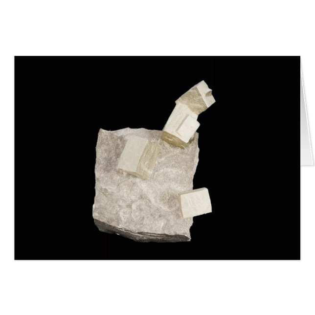 Pyrit-Kristalle im Schiefer (Vorderseite (Horizontal))