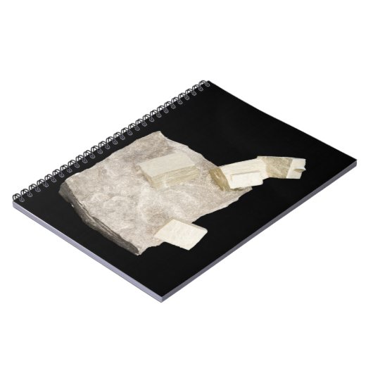 Pyrit-Kristalle im Schiefer Notizblock (Linke Seite)