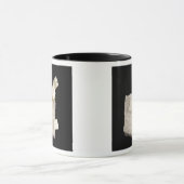 Pyrit-Kristalle im Schiefer Tasse (Zentrum)