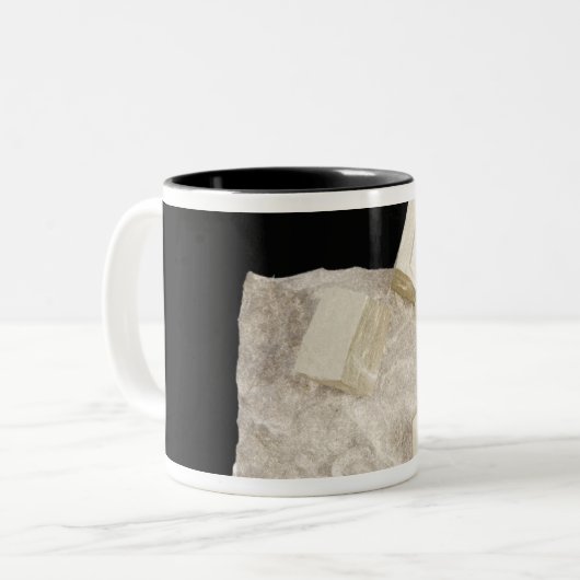 Pyrit-Kristalle im Schiefer Zweifarbige Tasse (Vorderseite Links)