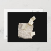 Pyrite Crystals in Shale Postkarte (Vorne/Hinten)