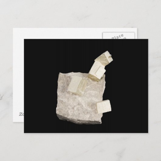 Pyrite Crystals in Shale Postkarte (Vorne/Hinten)