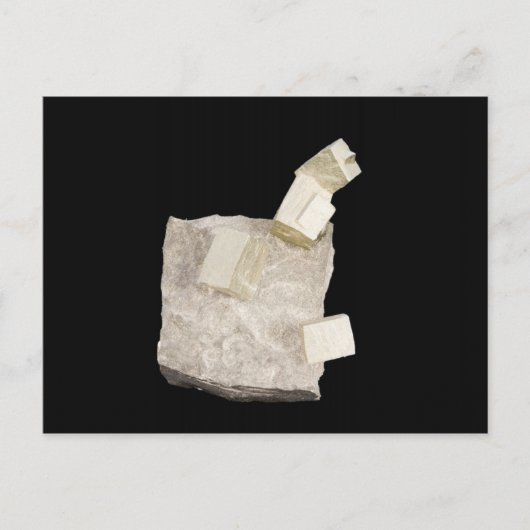 Pyrite Crystals in Shale Postkarte (Vorderseite)