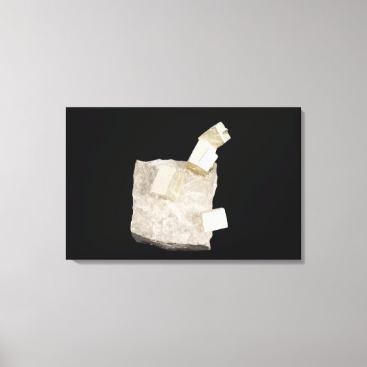 Pyrite Kristalle in Shale Leinwanddruck (Vorderseite)