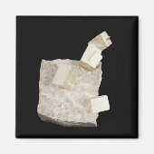 Pyrite Kristalle in Shale Magnet (Vorne)