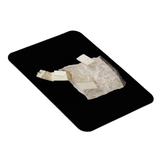 Pyrite Kristalle in Shale Magnet (Rechte Seite)