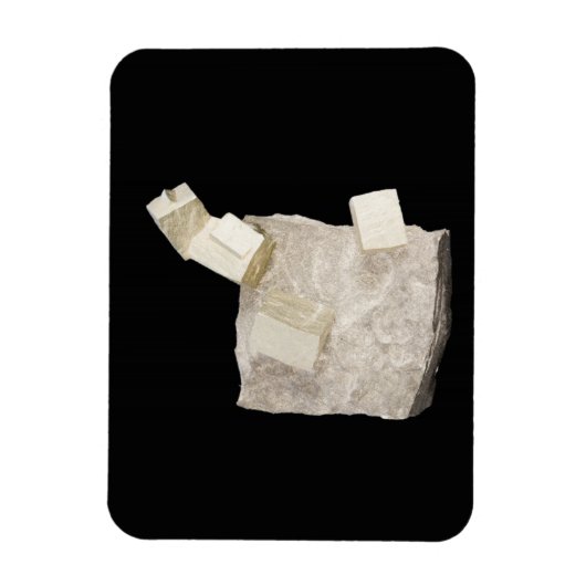 Pyrite Kristalle in Shale Magnet (Vertikal)