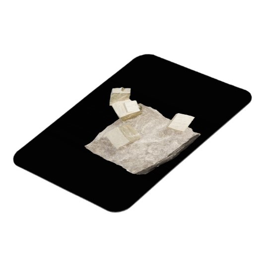 Pyrite Kristalle in Shale Magnet (Linke Seite)