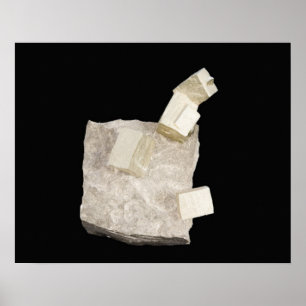 Pyrite Kristalle in Shale Poster
