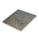 Pyritized Ammonit Fliese (Seite)