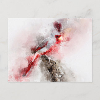Pyrrhuloxia watercolor feiertagspostkarte