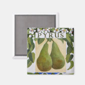 Pyrus Magnet (Vorderseite/Rückseite)