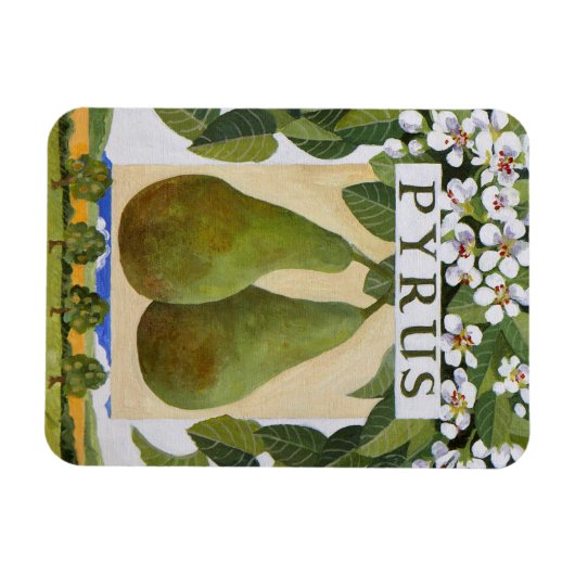 Pyrus Magnet (Horizontal)