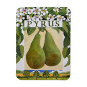 Pyrus Magnet (Vertikal)