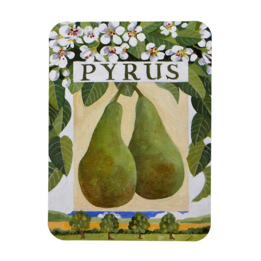 Pyrus Magnet (Vertikal)