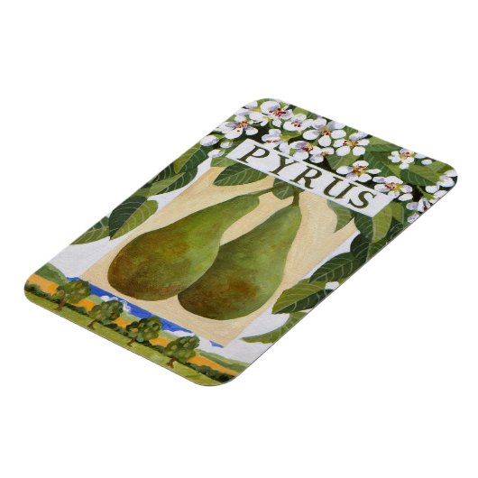 Pyrus Magnet (Linke Seite)