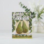Pyrus Postkarte (Stehend Vorderseite)
