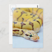 Python 2 postkarte (Vorne/Hinten)